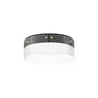 Maxim Lighting 21190CRBKNAB 1-Light 20W Black/Natural Aged Brass Flush Mount