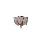 Maxim Lighting 21460NKPN Chantilly 6-Lights 3W Polished Nickel Flush Mount