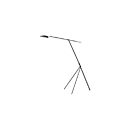 Maxim Lighting 21694BKSBR Scan 1-Light 6.5W Black/Satin Brass LED Floor Lamp