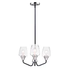 Maxim Lighting 26124CLBKSN Goblet 3-Lights 180W Black/Satin Nickel Incandescent Chandelier
