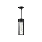 Maxim Lighting 30587CDBK Millennial 1-Light 60W Outdoor Hanging Lantern