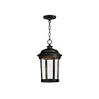 Maxim Lighting 55029CDBZ Dover 1-Light 12W Outdoor Hanging Lantern
