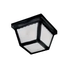 Maxim Lighting 6204FTBK Essentials 2-Lights 60W Black Flush Mount