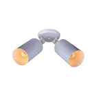 Maxim Lighting 92011WT Spots 2-Lights 60W White Flush Mount