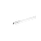 Maxlite L38T8DEFA840-CG 38W 8' T8 LED Tube