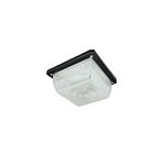 Naturaled LENS-SCM-DR9X9 Drop Lens for Slim Canopy (FINAL SALE)