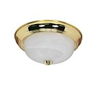 Nuvo Lighting 60-214 2-Lights Polished Brass Flush Mount