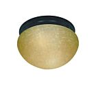 Nuvo Lighting 60-2646 2-Lights Mahogany Bronze Flush Mount