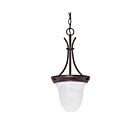 Nuvo Lighting 60-395 1-Light Old Bronze Pendant 