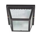 Nuvo Lighting 60-473 2-Lights Black Flush Mount