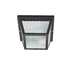 Nuvo Lighting 60-473 2-Lights Black Flush Mount