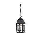Nuvo Lighting 60-4933 Banyon 1-Light Textured Black Outdoor Hanging Lantern