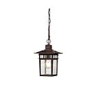 Nuvo Lighting 60-4954 Cove Neck 1-Light White Outdoor Hanging Lantern