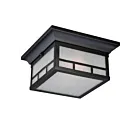 Nuvo Lighting 60-5606 Drexel 2-Lights Stone Black Outdoor Flush Mount Mount