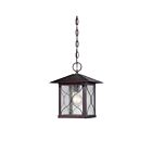 Nuvo Lighting 60-5614 Vega 1-Light Classic Bronze Outdoor Hanging Lantern