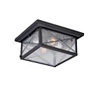 Nuvo Lighting 60-5626 Wingate 2-Lights Textured Black Outdoor Flush Mount Mount