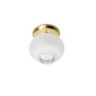 Nuvo Lighting 60-6029 1-Light 60W Polished Brass Ball Ceiling Flush Mount
