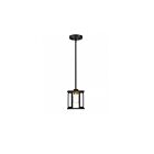 Nuvo Lighting 60-6412 Payne 60W Midnight Bronze Pendant