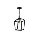 Nuvo Lighting Hopewell 60-6594 1-Light 60W Matte Black Outdoor Hanging Lantern