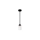 Nuvo Lighting 60-7270 Sommerset 1-Light 60W Matte Black Pendant