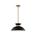 Nuvo Lighting Perkins 60-7460 1 Light Matte Black With Burnished Brass 100W Small Pendant