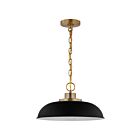 Nuvo Lighting Colony 60-7481 1 Light Matte Black With Burnished Brass 100W Small Pendant