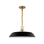 Nuvo Lighting Colony 60-7484 1 Light Matte Black With Burnished Brass 100W Medium Pendant