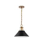 Nuvo Lighting Outpost 60-7523 1 Light Matte Black With Burnished Brass 60W Medium Pendant