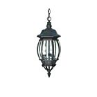 Nuvo Lighting Central Park 60-896 3-Light Textured Black Outdoor Hanging Lantern