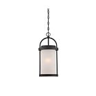 Nuvo Lighting Willis 62-655 1-Light Textured Black Outdoor Hanging Lantern