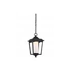 Nuvo Lighting 62-824 Essex Sterling Black LED Outdoor Hanging Light