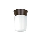Nuvo Lighting SF77-156 1-Light 60W Bronzotic Flush Mount