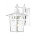 Nuvo Lighting Cove Neck 60-4951 1-Light White Outdoor Wall Light