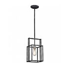 Nuvo Lighting Lake 60-5860 1-Light Iron Black Mini Pendants