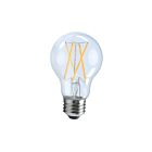 Ortech A19-FIL-7WD 7W A19 LED Filament Bulb