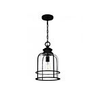 Quoizel Lighting BWE1510EK 1 Light Earth Black 100W Bowles Pendant