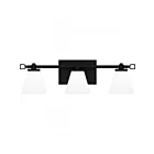 Quoizel Lighting DNL8621MBK Daniels 25W Matte Black LED Vanity Light