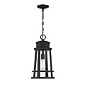 Quoizel Lighting DNM1910EK 1 Light Earth Black 150W Dunham Outdoor Lantern