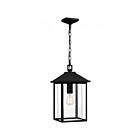 Quoizel Lighting FTC1910EK Fletcher 1-Light 100W Earth Black Outdoor Lantern