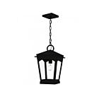 Quoizel Lighting HUK1510EK Huck 1-Light 100W Earth Black Pendant