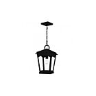 Quoizel Lighting HUK1910EK Huck 1-Light 100W Earth Black Pendant