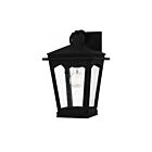 Quoizel Lighting HUK8408EK Huck 1-Light 100W Earth Black Outdoor Wall Light
