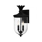Quoizel Lighting HVN8408EK 2 Lights Earth Black 120W Havana Outdoor Lantern