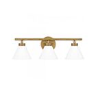 Quoizel Lighting IRA8622WS Ira 3-Lights 180W Weathered Brass Vanity Light