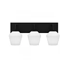 Quoizel Lighting NIE8621MBK 3 Lights Matte Black 300W Nielson Bath Light