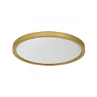 Quoizel Lighting OSTA1715BRG Outskirts 28W Brushed Gold Flush Mount