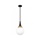 Quoizel Lighting QP6758MBK Arlo 1-Light 100W Matte Black Pendant