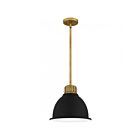 Quoizel Lighting Quoizel QPP5569WS 1-Light 100W Weathered Brass Mini Pendant
