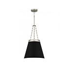Quoizel Lighting QPP6183BN 1 Light Brushed Nickel 100W Alwyn Mini Pendant