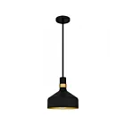 Quoizel Lighting QPP6804MBK Arbor 1-Light 100W Pendant